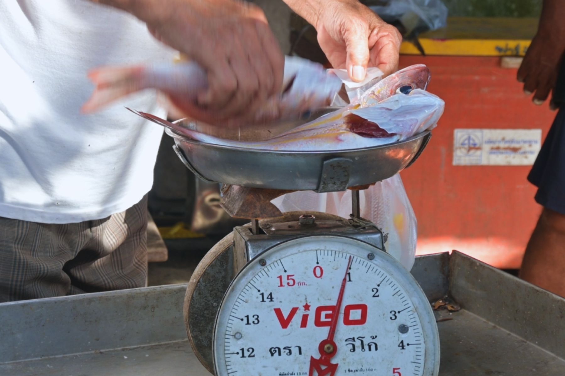 Local sourced seafood